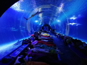 IMG-20180206-WA0004[1]