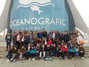 IMG-20180206-WA0008[1]