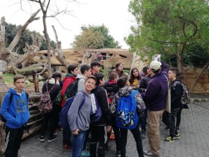 IMG-20180206-WA0009[1]