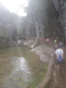 IMG-20180524-WA0008[1]